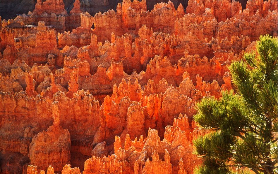 "Rocks on Fire," Bryce Canyon National Park