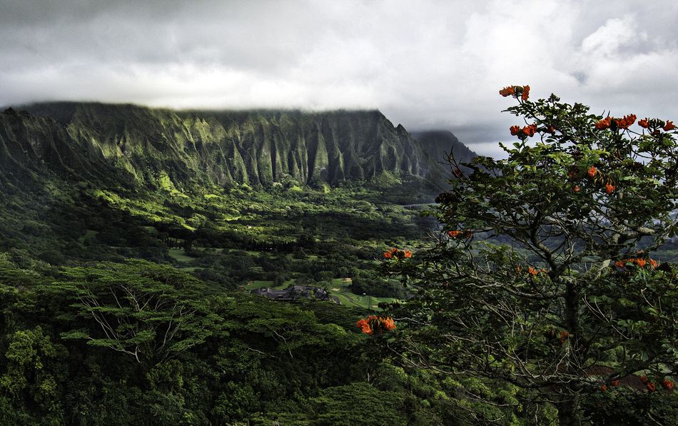 The Pali, Windward O'ahu