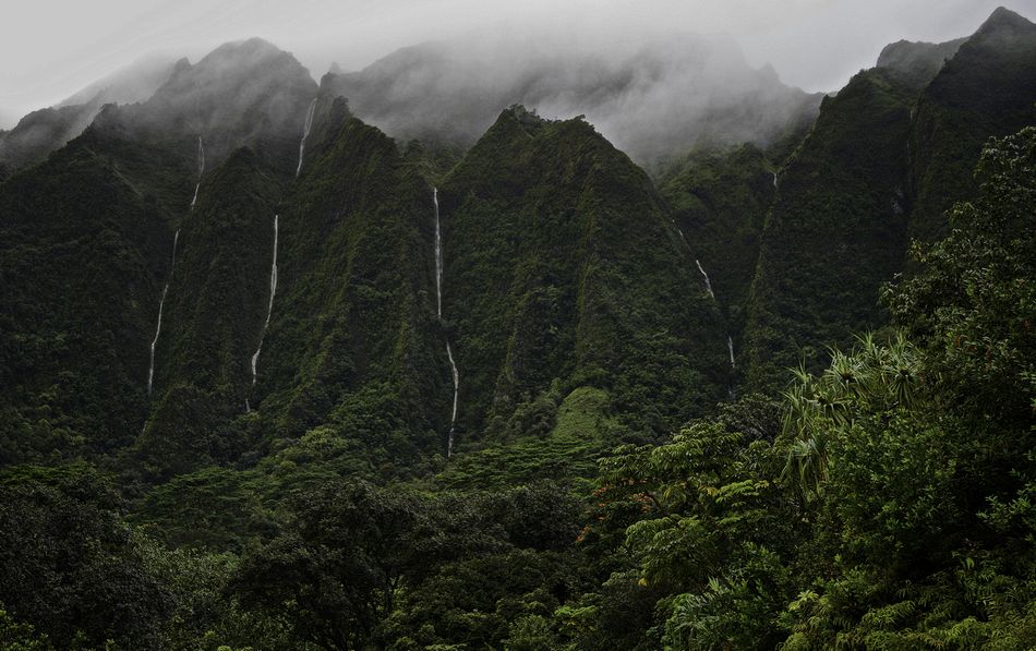 After the rainfall, Ho'omaluhia Park, O'ahu