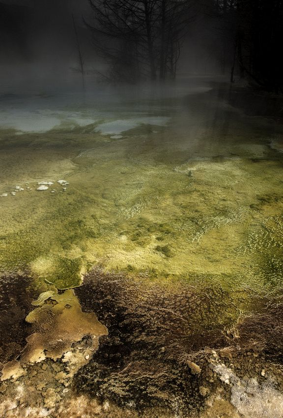 Mystery at Mammoth Hot Springs, Yellowstone NP