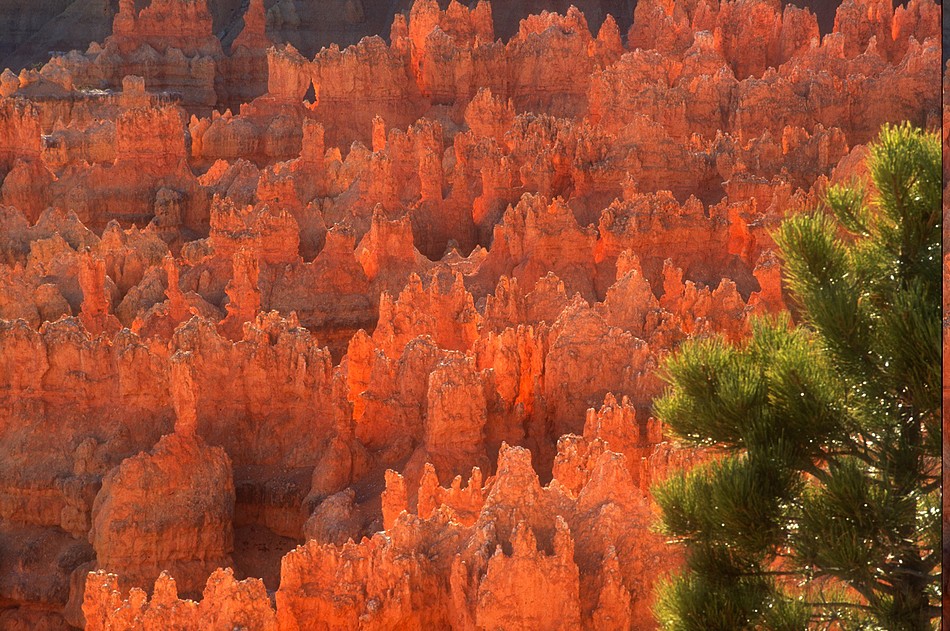 Bryce Canyon on Fire, Bryce Canyon NP