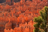 Bryce Canyon on Fire, Bryce Canyon NP