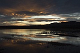 Dawn at Boque Del Apache, New Mexico