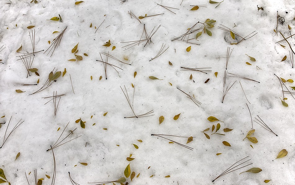 "Snowpaper" -- found while snowshoing