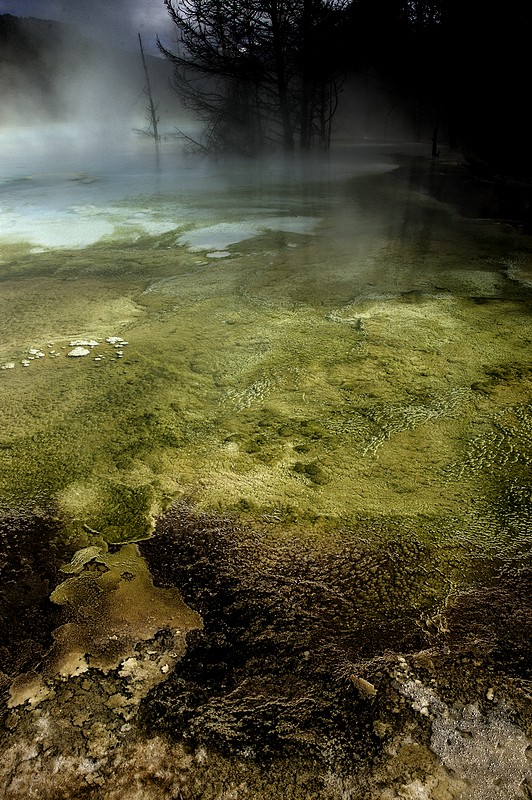 Mammoth Hot Springs water