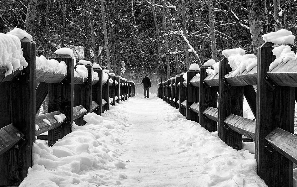 Man on a bridge, Yosemite Valley